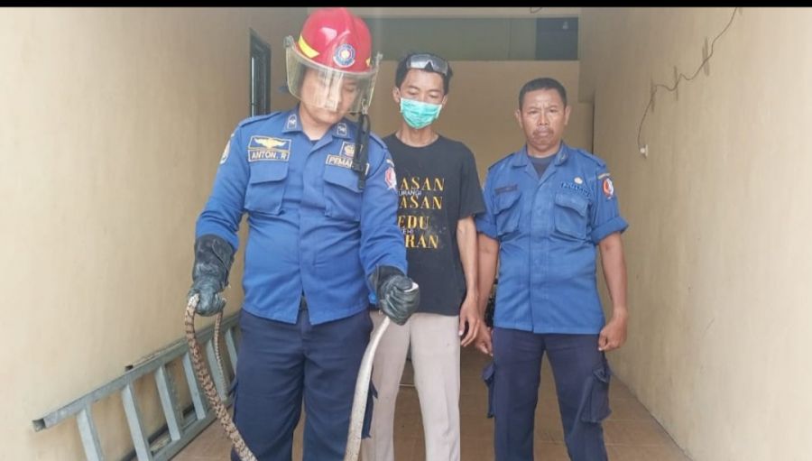 735 Penyelamatan Dilakukan Oleh Dinas Damkar Bojonegoro