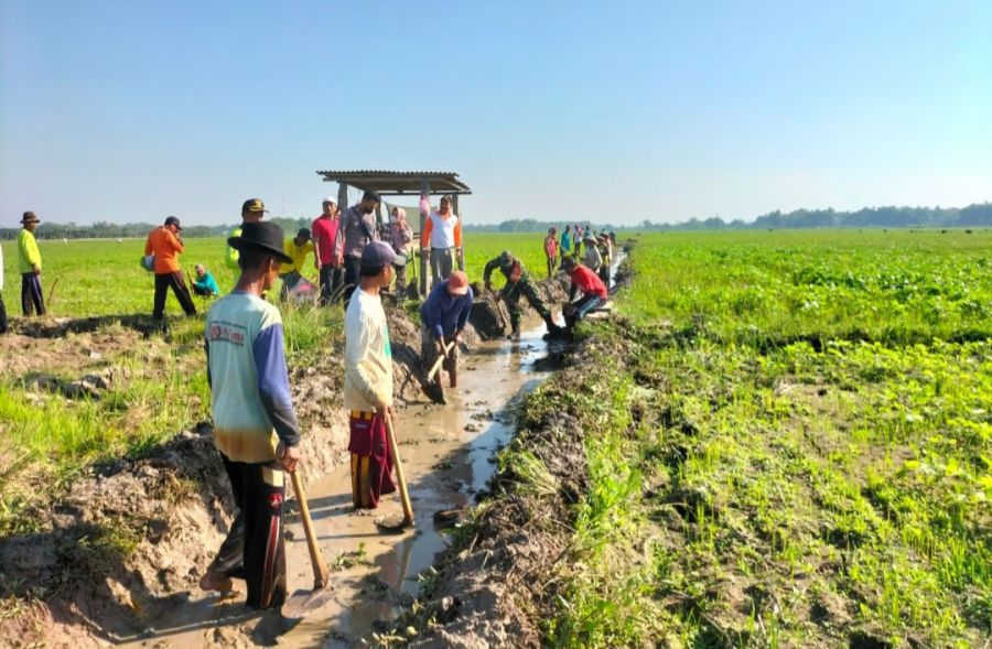 Aksi Babinsa Ngelebur Bersama Warga Normalisasi Saluran Irigasi Dukung Ketahanan Pangan