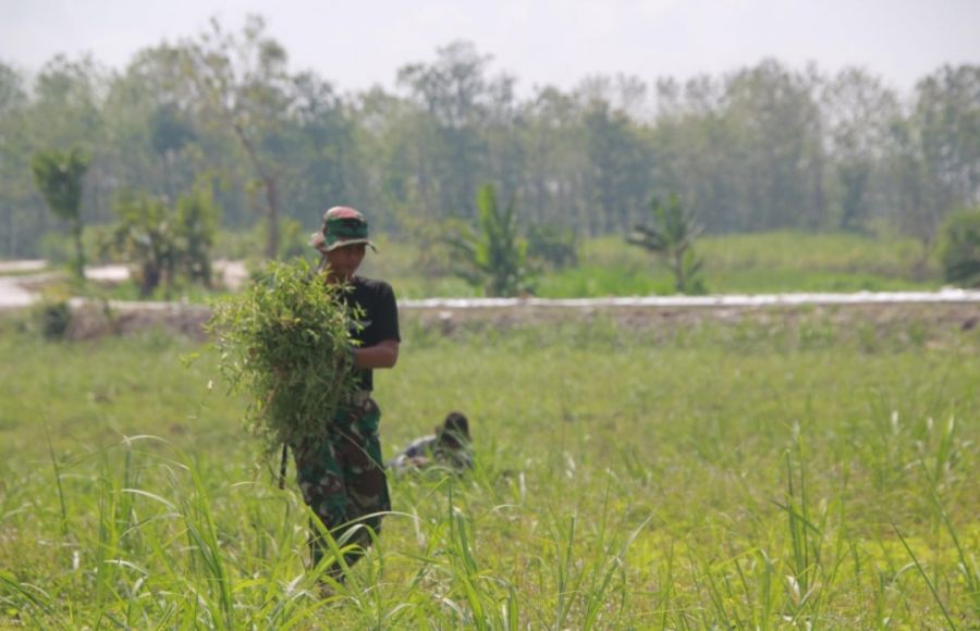 Anggota Satgas Tak Canggung Bantu Warga Mencari Makanan Untuk Hewan Ternak
