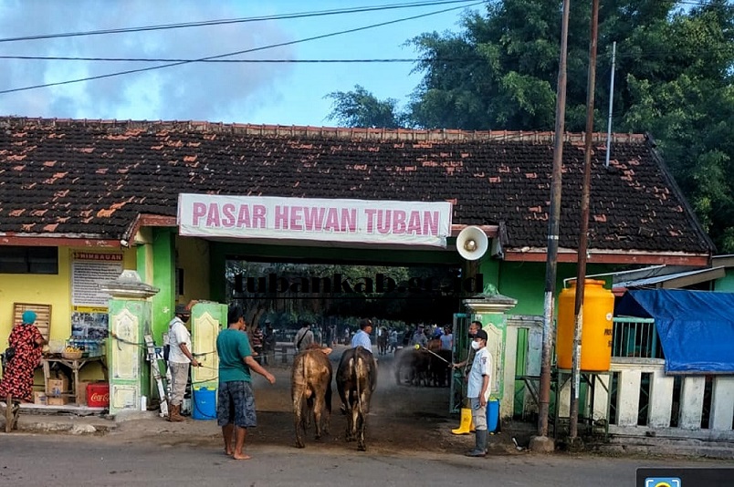 Antisipasi PMK Meluas, Pemkab Tuban Resmi Tutup Pasar Hewan