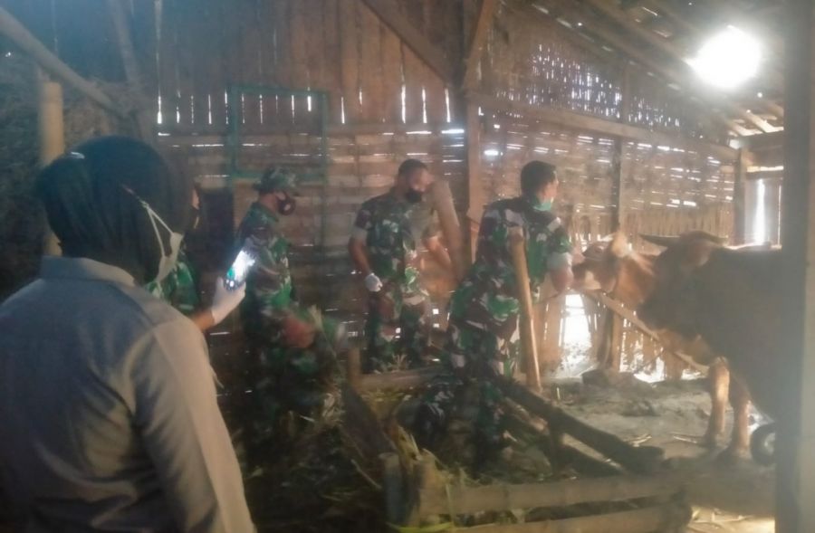 Babinsa dan Bhabinkamtibmas Dampingi Pemberian Vaksin PMK di Desa Soko Tikung