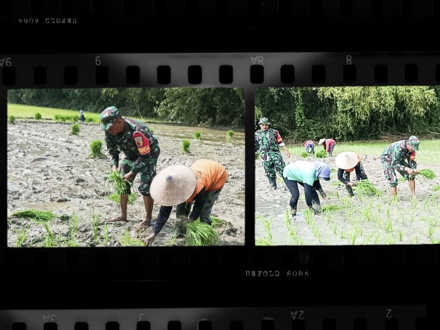 Babinsa Kodim 0813 Bojonegoro bantu Petani Wujudkan Ketahanan Pangan Nasional