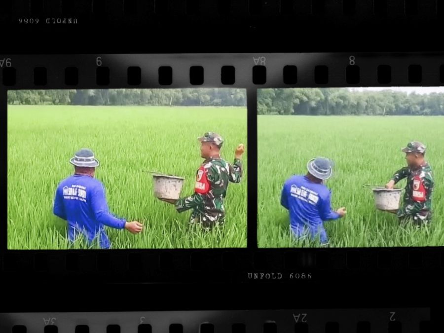 Babinsa Koramil Balen Kodim 0813 Bojonegoro bantu Petani Rawat Tanaman Padi