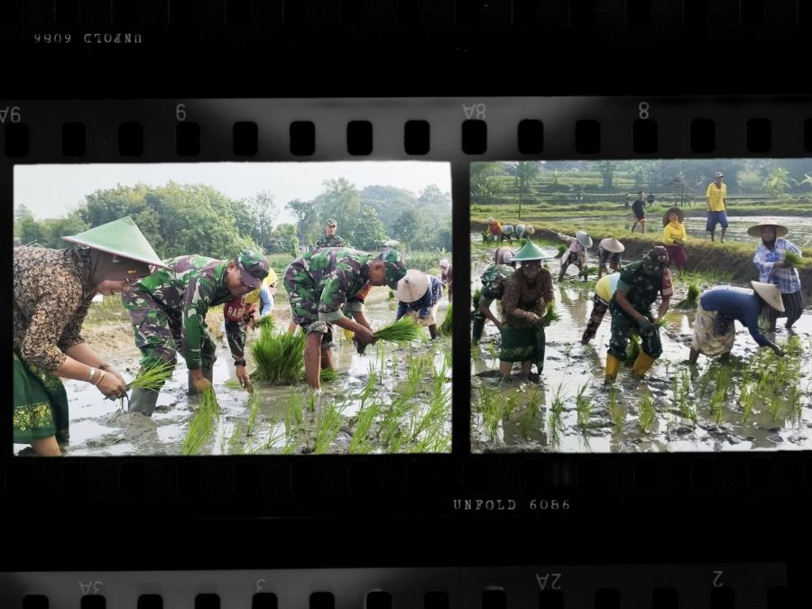 Babinsa Koramil Bubulan Kodim 0813 Bojonegoro dukung Program Ketahanan Pangan