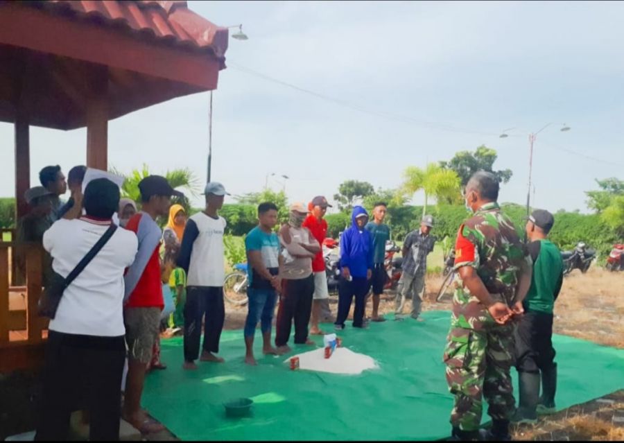 Babinsa Koramil Kapas Kodim 0813 Bojonegoro, Bantu Petani Kumpulrejo Kendalikan Hama Tikus