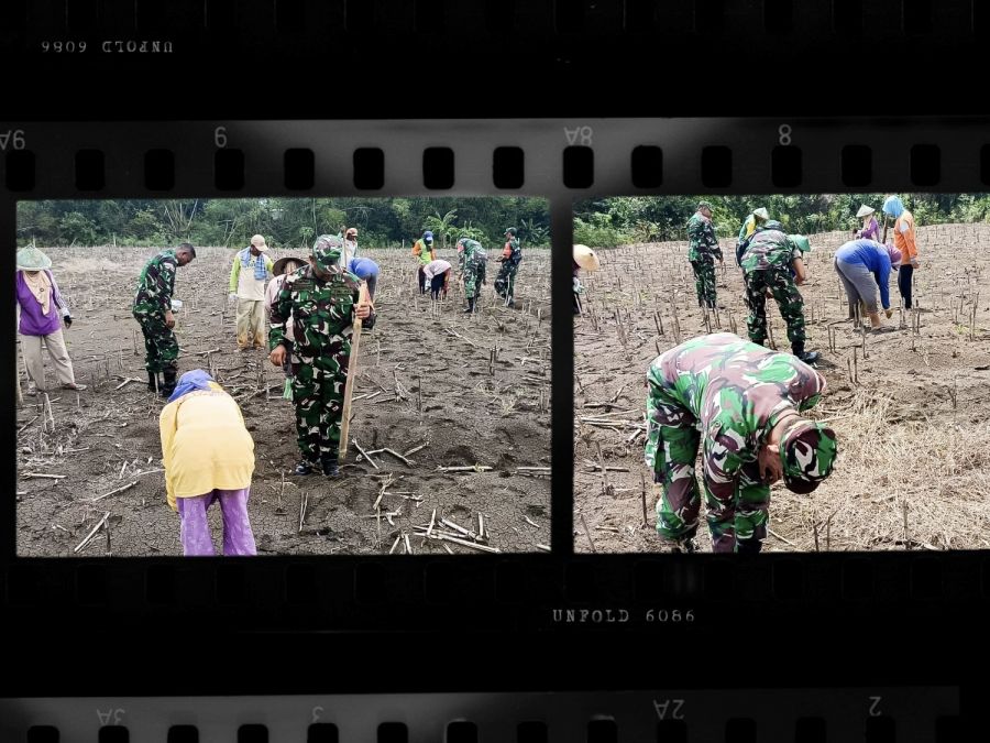 Babinsa Koramil Sumberrejo Kodim 0813 Bojonegoro bantu Petani Tanam Jagung