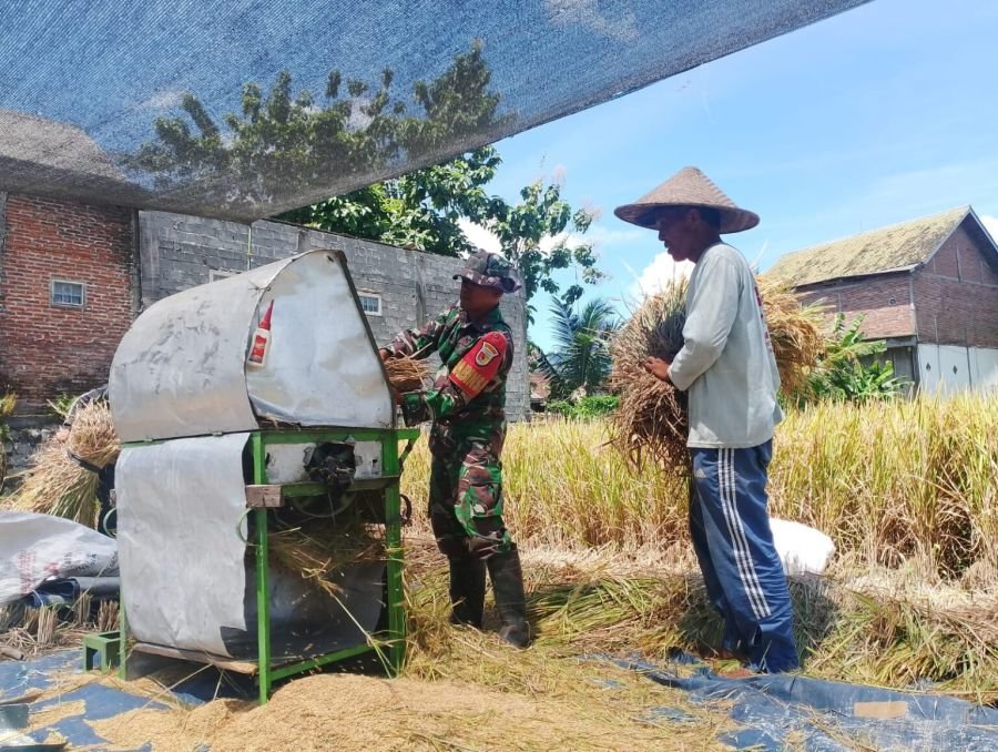 Babinsa Sananwetan Turun ke Sawah