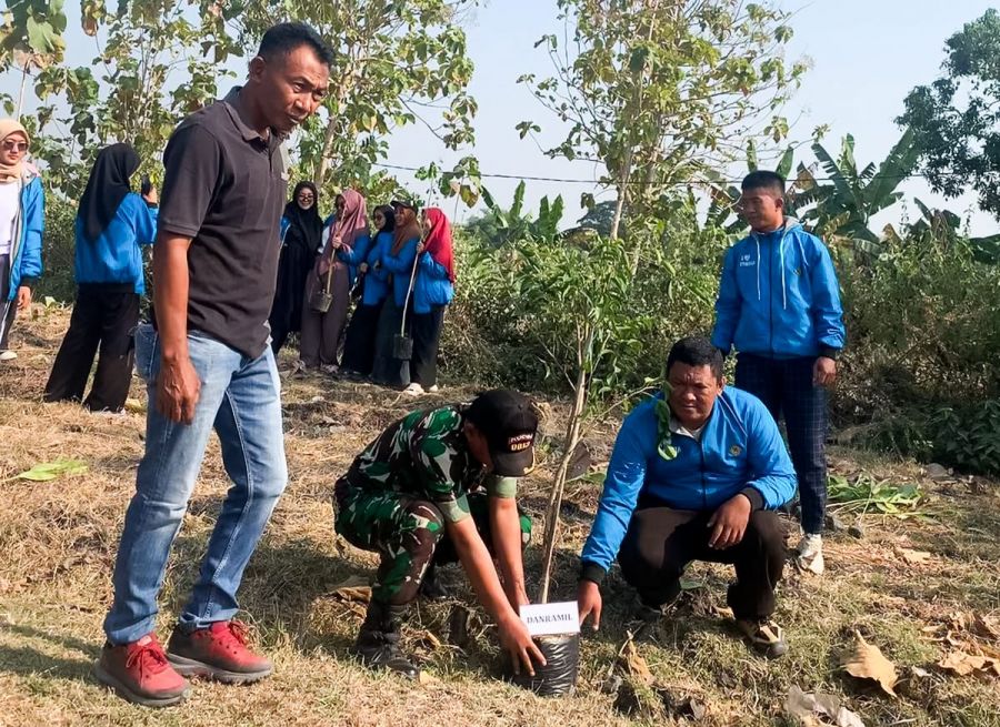 Bersama Mahasiswa KKN, EMCL dan YSP, Babinsa Padangan Kodim 0813 Bojonegoro Tanam Ratusan Pohon