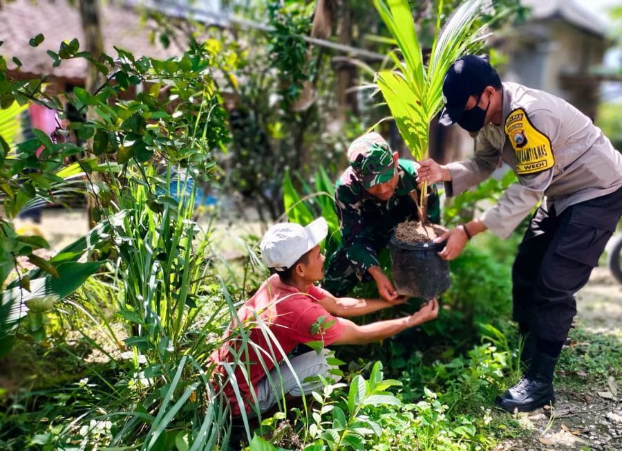 Bersama Masyarakat, Babinsa Kapas Kodim 0813 Bojonegoro Tanam Ratusan Pohon Produktif