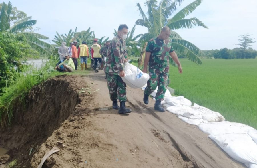 Bersama Warga Pilang, Koramil Kanor Kodim 0813 Bojonegoro Perkuat Bibir Tanggul Sungai