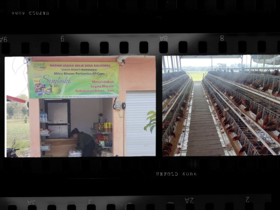 BUMDesa Kaliombo-Purwosari Sukses Budidaya Ayam Petelur