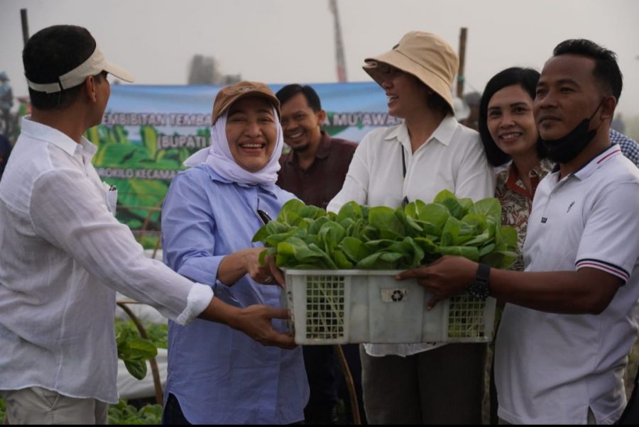 Bupati Bojonegoro Bersama Dulur Tani Serahkan Bibit Tembakau Virginia