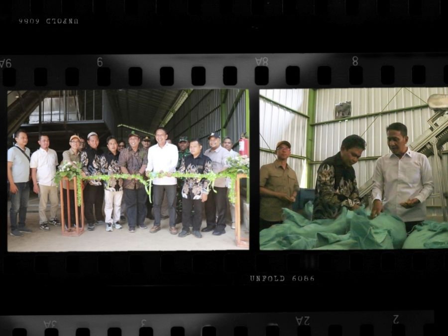 Bupati Bojonegoro Resmikan Pabrik Pengolahan Porang di Sekar