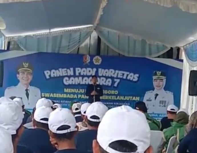 Bupati Setyo Wahono Hadiri Panen Raya Padi Gamagora  di Bayemgede