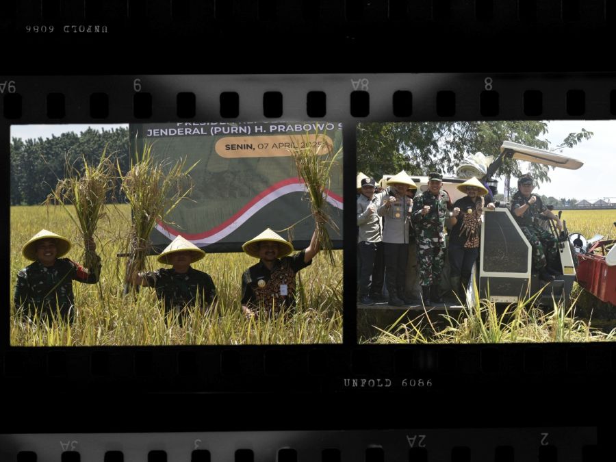 Danrem Wijayakusuma Vicon Panen Padi Serentak di Pemalang 