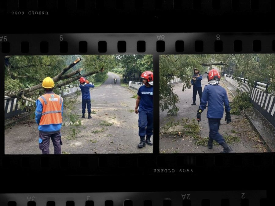 Dinas Damkarmat Bojonegoro Evakuasi Pohon Tumbang Melintang Jalan
