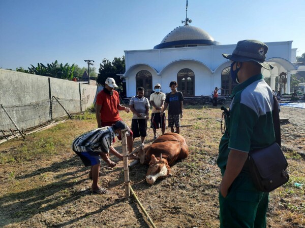 Disnakkan Bojonegoro Bagi-bagi Tips Penyembelihan Hewan Kurban 
