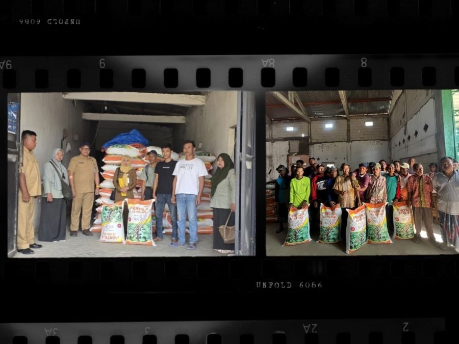 DKPP Bojonegoro Pastikan Ketersediaan Pupuk untuk Tingkatkan Produksi Tembakau