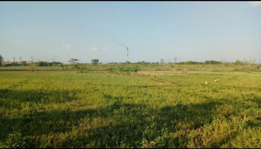 DLH Kabupaten Bojonegoro Lakukan Konfirmasi, EMCL: Flare Sudah Normal