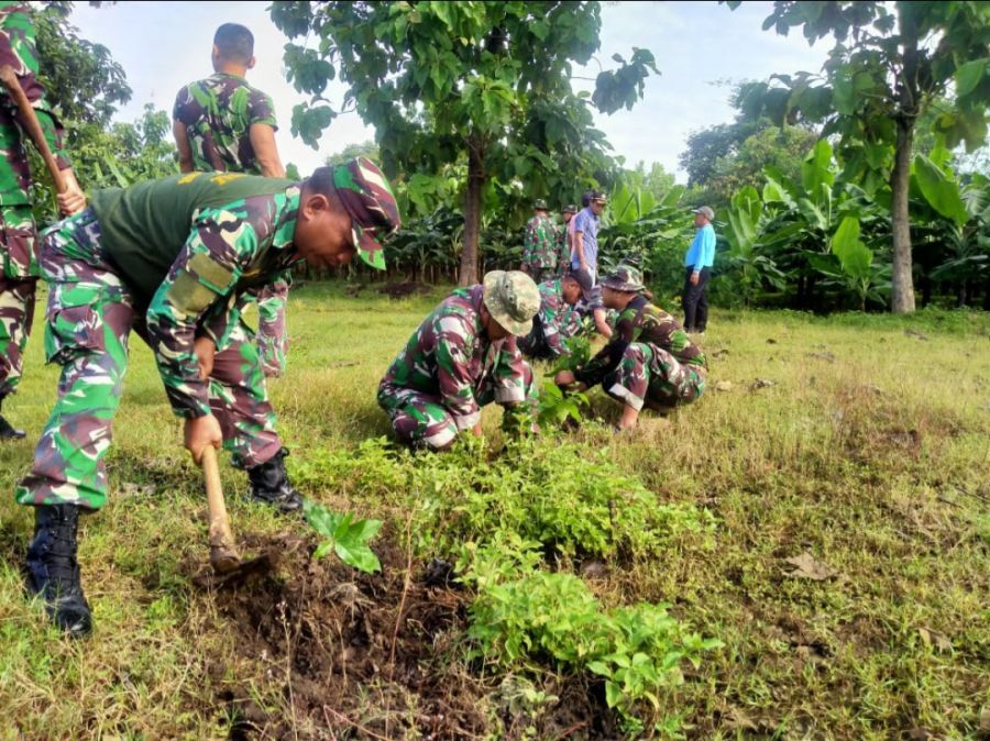 Dukung Ketahanan Pangan, Kodim Bojonegoro Tanam Bibit Kacang Afrika