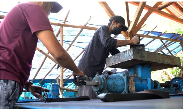 Gara-gara Limbah Tempurung Kelapa Melimpah, Pemuda Asal Gucialit Olah Limbah Menjadi Briket