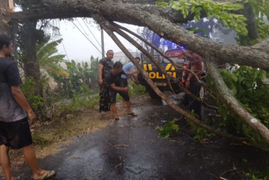 Gerak Cepat Babinsa dan Instansi Terkait atasi Pohon Tumbang