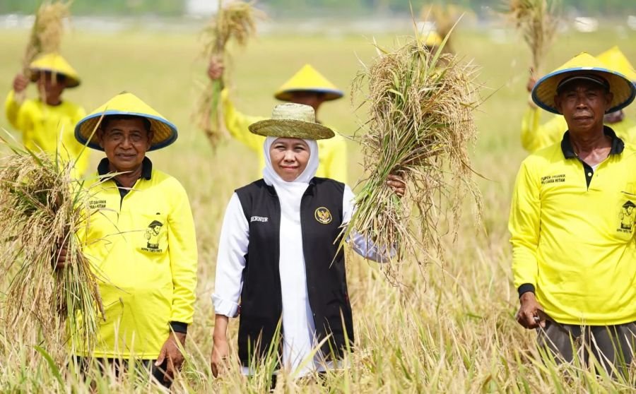 Gubernur Menegaskan Jatim  Harus Tetap Jadi Lumbung Pangan Nasional