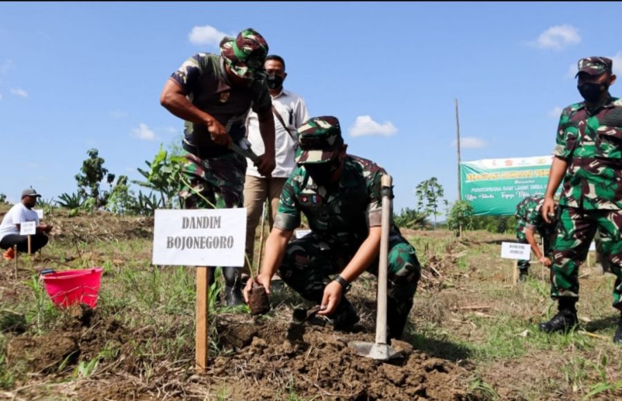 Jaga Kelesatarian, Kodim 0813: Bojonegoro Dukung Penuh Reboisasi Kawasan Hutan