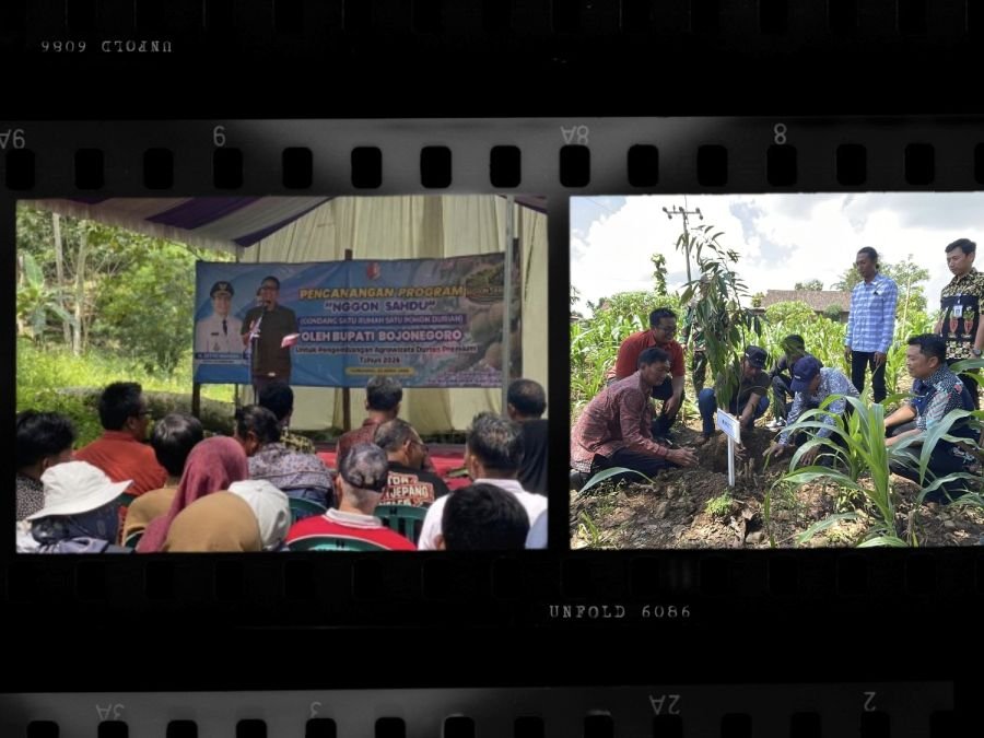 Kecamatan Gondang-Bojonegoro Siap Kembangkan Agrowisata Durian Premium