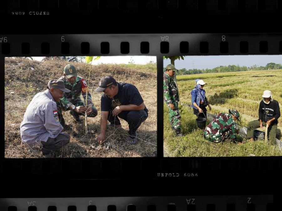 Kodim 0813 Bojonegoro Tanam Ribuan Pohon Kayu Putih dan Balsa