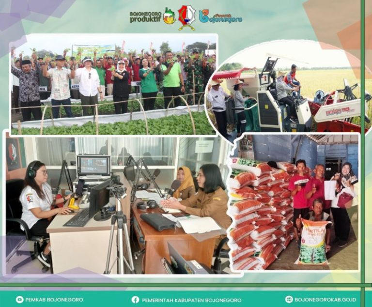 Komitmen Pemkab Bojonegoro Tingkatkan Produktivitas Pertanian, Bantu Pupuk hingga Asuransi