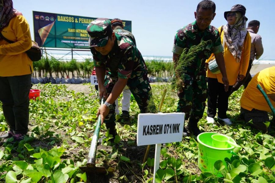 Korem 071/Wijayakusuma Tanam Ribuan Pohon Cemara Laut