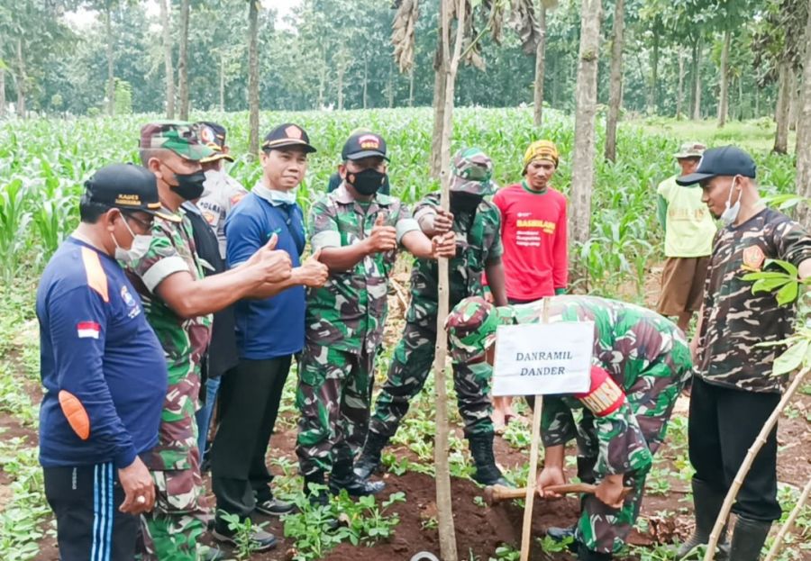Lestarikan Alam, Jajaran TNI Koramil 0813-05/Dander dan Forkopimcam Dander Tanam Ratusan Pohon  