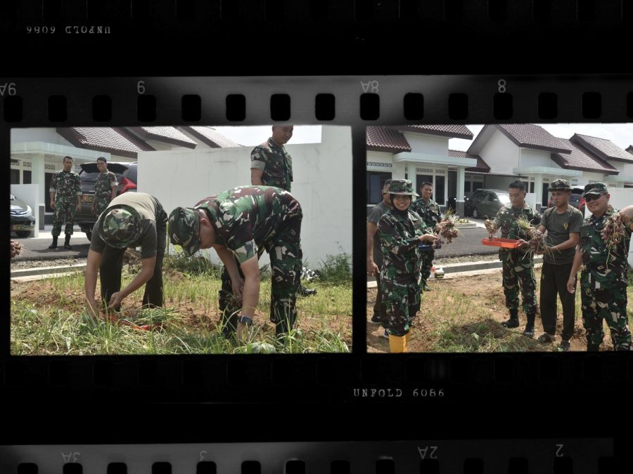 Manfaatkan Lahan Dukung Hanpangan 