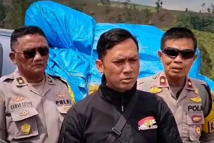 Ribuan Tanaman Ganja Kembali Ditemukan Polres Lumajang di TNBTS dalam Penyisiran Kelima