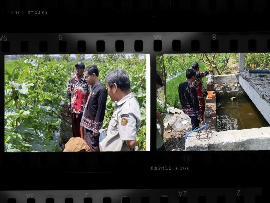 Mbah Dul Petani Bojonegoro Ini Sukses Hasilkan Beragam Komoditas Pertanian