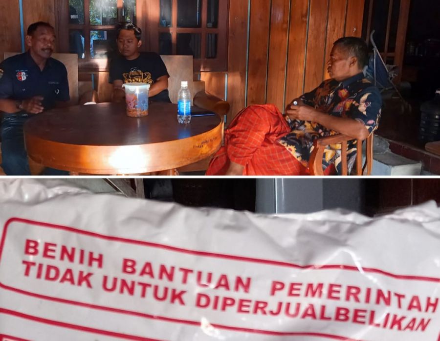 Miris Bantuan Benih Jagung di Desa Sambongrejo Diduga  Diperjual Belikan oleh Gapoktan Nakal