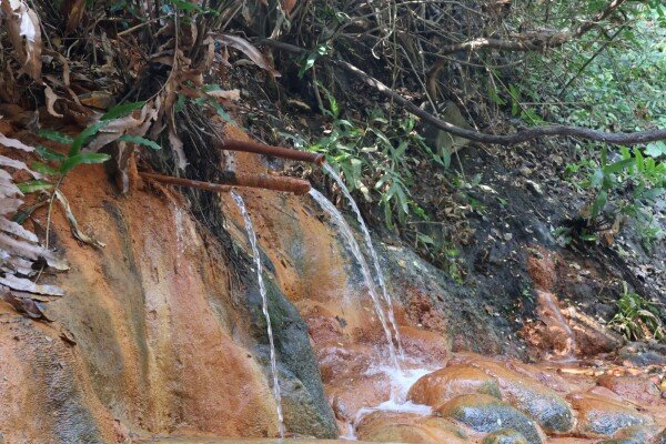 Objek Wisata Alam Bojonegoro di Kawasan Hutan Jati