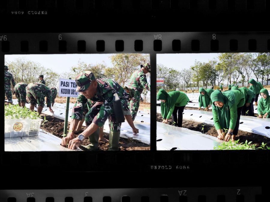 Optimalkan Lahan Kosong, Kodim 0813 Bojonegoro Tanam Ribuan Bibit Cabai