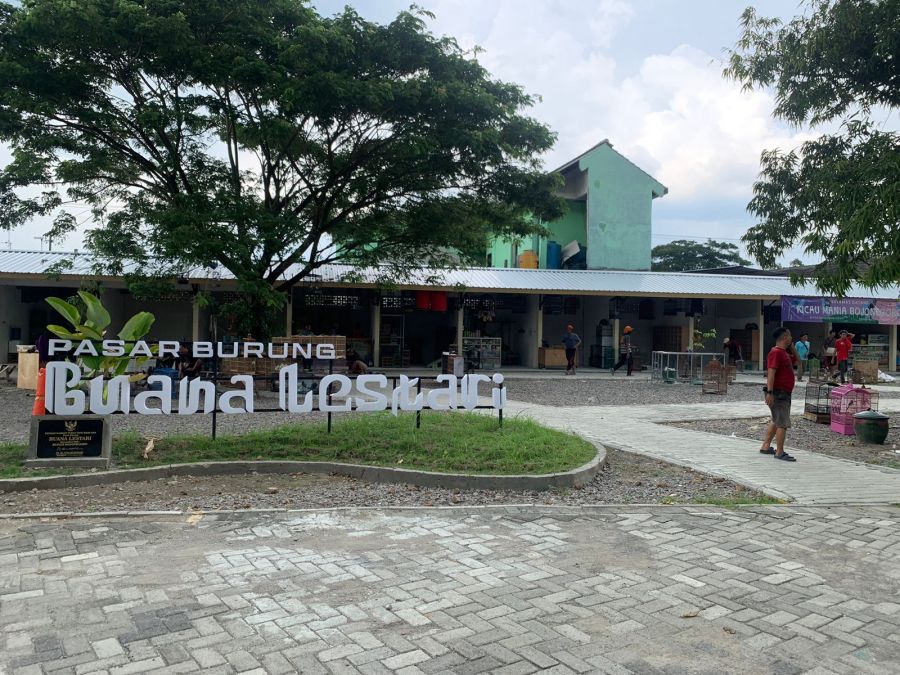 Pasar Burung Buana Lestari Makin Ramai dan Diminati, Kini Ada 6 Stan Penjual Ikan Hias 