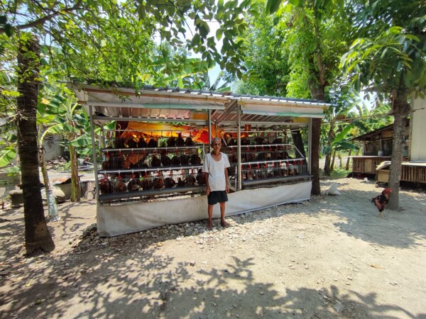 Pemkab Bojonegoro Akan Salurkan Hasil Telur ke 4.400 KPM di 2026