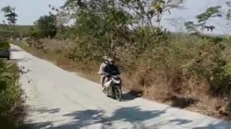 Pemkab Bojonegoro Cek Fakta Jalan Rigit Beton  Paldaplang -Bubulan