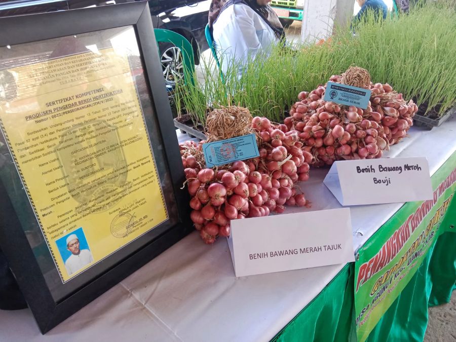 Pemkab Bojonegoro Dorong Petani Bawang Merah Gunakan Benih Biji, Lebih Efisien dan Hasil Banyak 