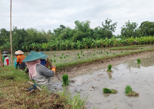 Pemkab Bojonegoro Gandeng Bulog hingga Kemitraan dengan Petani 