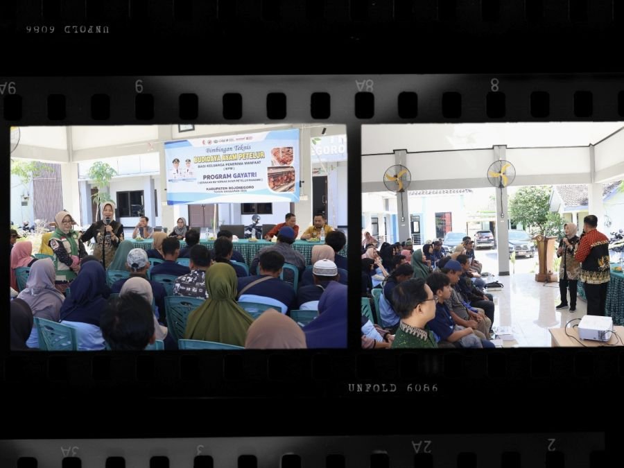 Pemkab Bojonegoro Gelar Bimtek Budidaya Ayam Petelur