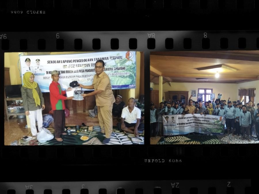 Pemkab Bojonegoro Gelar Sekolah Lapang Tembakau Bagi Petani