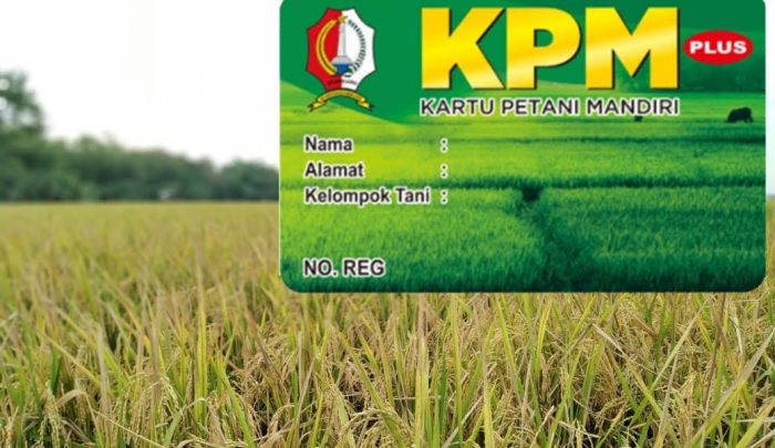Pemkab Bojonegoro Gratiskan Benih dan Pupuk Bagi Pemilik Kartu Petani Mandiri (KPM)