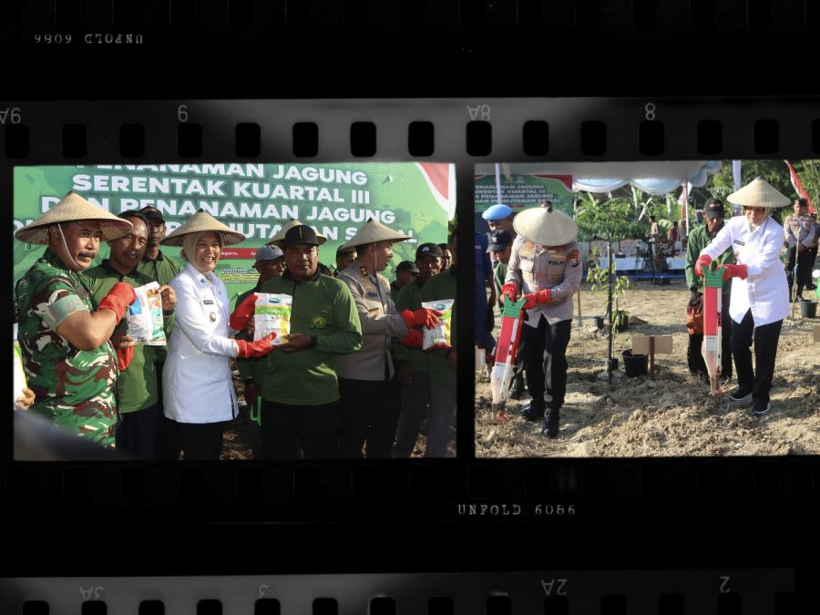 Pemkab Bojonegoro Ikut Sukseskan Penanaman Jagung Serentak Kuartal III