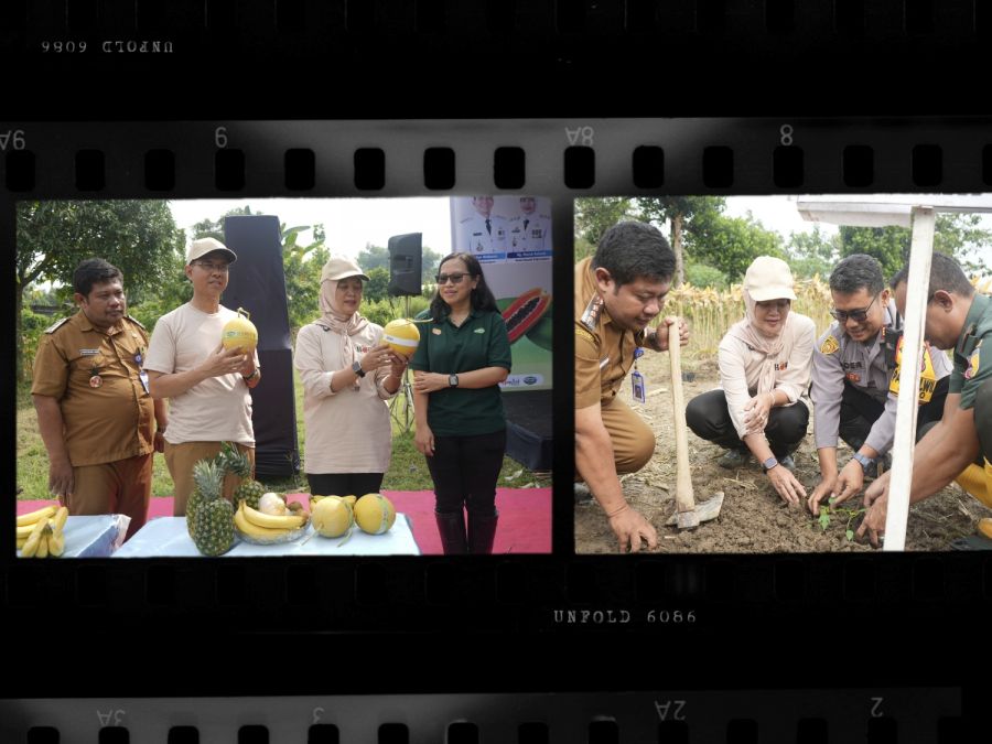 Pemkab Bojonegoro Perdana Tanam Pepaya California di Kecamatan Malo