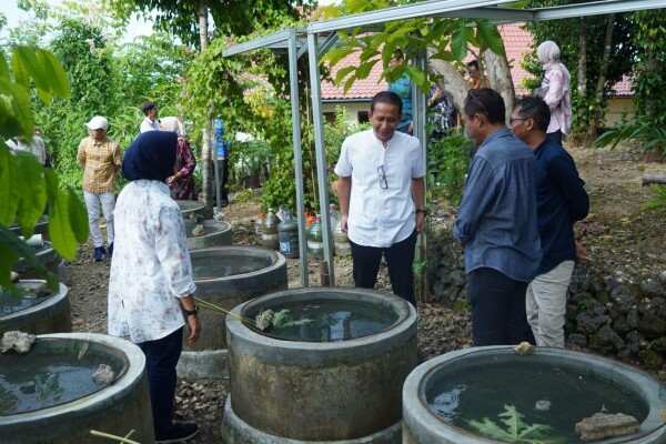 Pemkab Bojonegoro Perkuat Ketahanan Pangan Melalui Pembangunan Buis Beton Lele Konsumsi